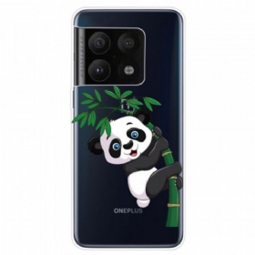 Maskica OnePlus 10 Pro 5G Panda Na Bambusu