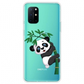 Maskica OnePlus 8T Panda Bez Šavova Na Bambusu