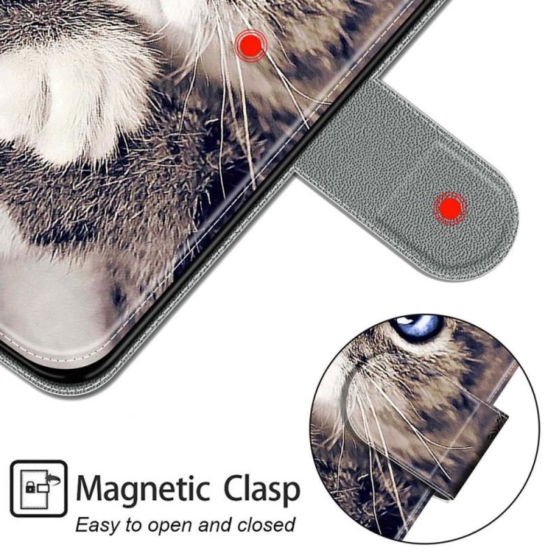 Futrola Xiaomi Redmi Note 11 Pro Plus 5G Thong Cat Fan